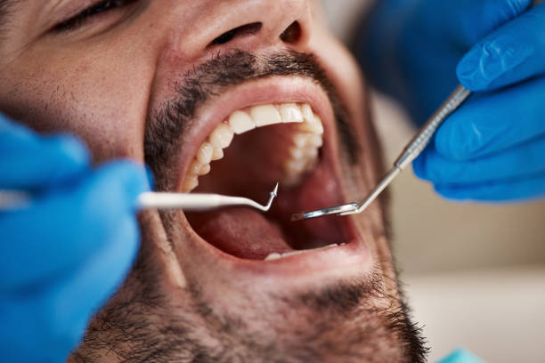 Best Weekend Emergency Dentist in Lino Lakes, MN